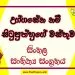 Uggasena Nam Situputhhuge Wasthuwa O/L Sinhala Sahithya Vichara - Grade 11