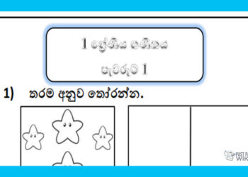 Grade 01 Environment | Pewaruma (1)
