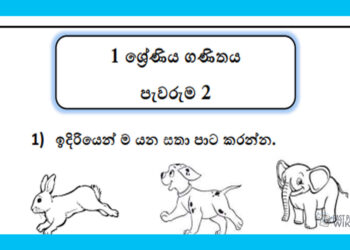 Grade 01 Environment | Pewaruma (2)