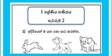 Grade 01 Environment | Pewaruma (2)