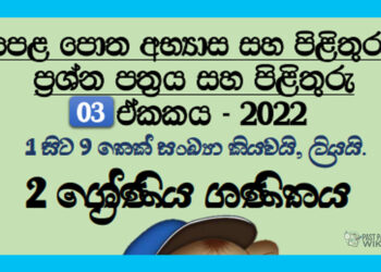 Sankaya Kiyavima Grade 02 Mathematics Unit 03 | Questions And Answers