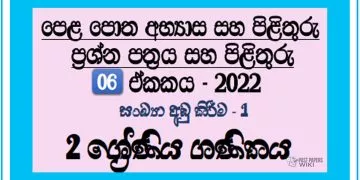 Sankaya Adu Kirima Grade 02 Mathematics Unit 06 | Questions And Answers