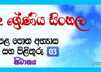 Nidanaya Grade 02 Sinhala Unit 03 | Questions And Answers