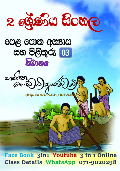 Nidanaya Grade 02 Sinhala Unit 03 | Questions And Answers 