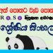 Grade 02 Sinhala Workbook | No 03