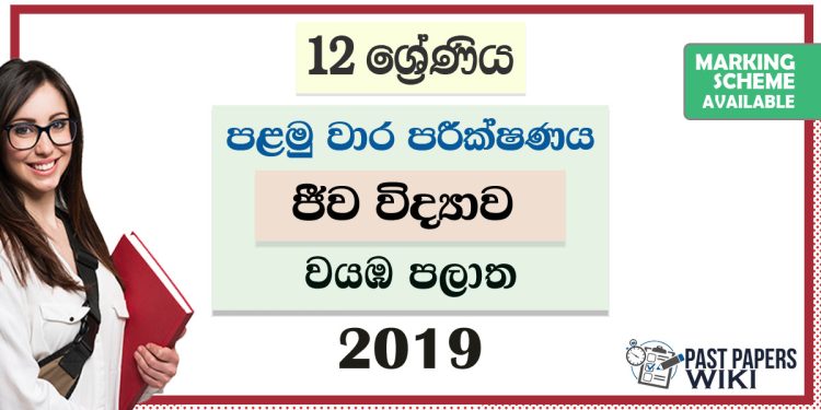 North Western Province Grade 12 Biology First Term Test Paper 2019 with answers for Sinhala Medium