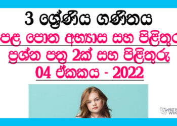 Diga Menima (Part 01) Grade 03 Mathematics Unit 04 | Questions And Answers