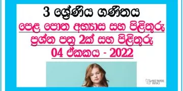 Diga Menima (Part 01) Grade 03 Mathematics Unit 04 | Questions And Answers