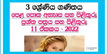 Disha Grade 03 Mathematics Unit 11 | Questions And Answers