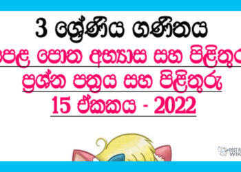 Sankaya Rata Grade 03 Mathematics Unit 15 | Questions And Answers