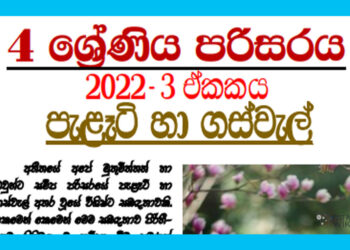 Grade 04 Environment | Unit 03 - Palati Ha Gaswel