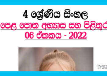 Redi Viyana Makulu Deriya Grade 04 Sinhala Unit 03 - Questions And Answers