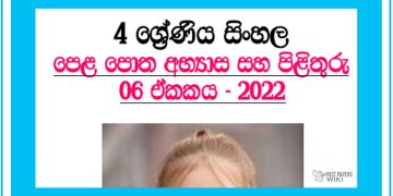 Redi Viyana Makulu Deriya Grade 04 Sinhala Unit 03 - Questions And Answers