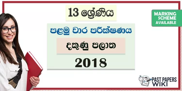 Grade 13 Southern Province 1st Term Test Papers with answers