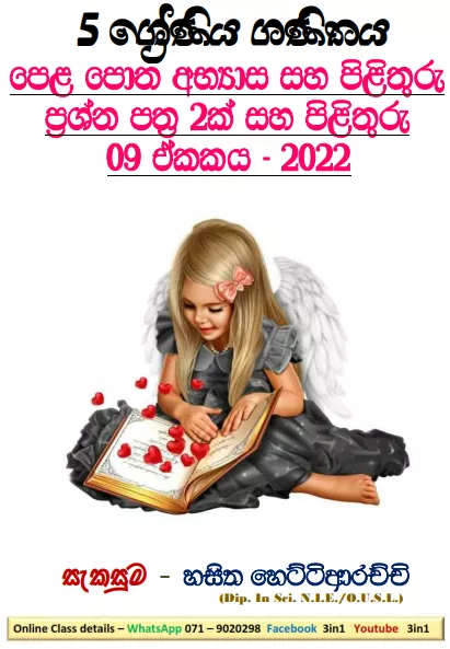 Bedima (01) Grade 05 Mathematics Unit 09 | Questions and Answers