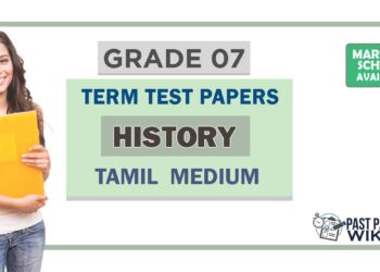 Grade 07 History Term Test Papers | Tamil Medium