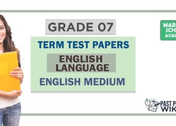 Grade 07 English Language Term Test Papers