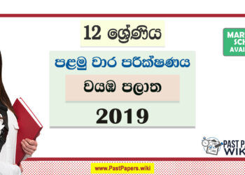 Grade 12 North Western Province 1st Term Test Papers with answers