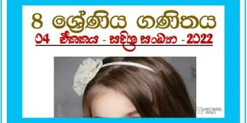 Grade 08 Mathematics Unit 04 | Directed Numbers