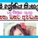 Grade 08 Sinhala Unit 06 | Katha Bahata Awadanaya