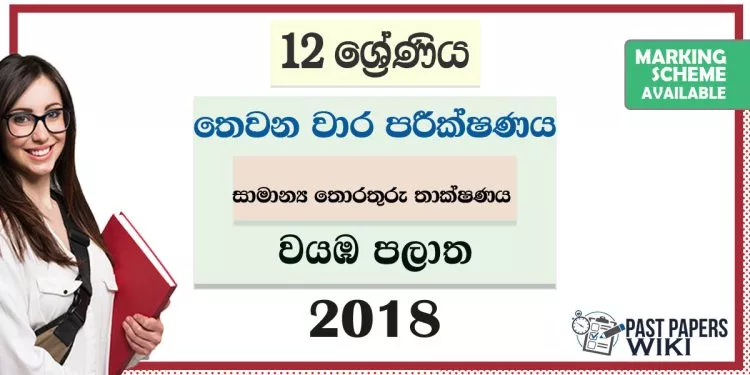 North Western Province Grade 12 GIT Third Term Test Paper 2018 with answers for Sinhala Medium