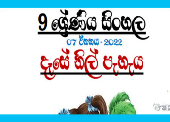 Grade 09 Sinhala Unit 07 | Dese Nil Peheya