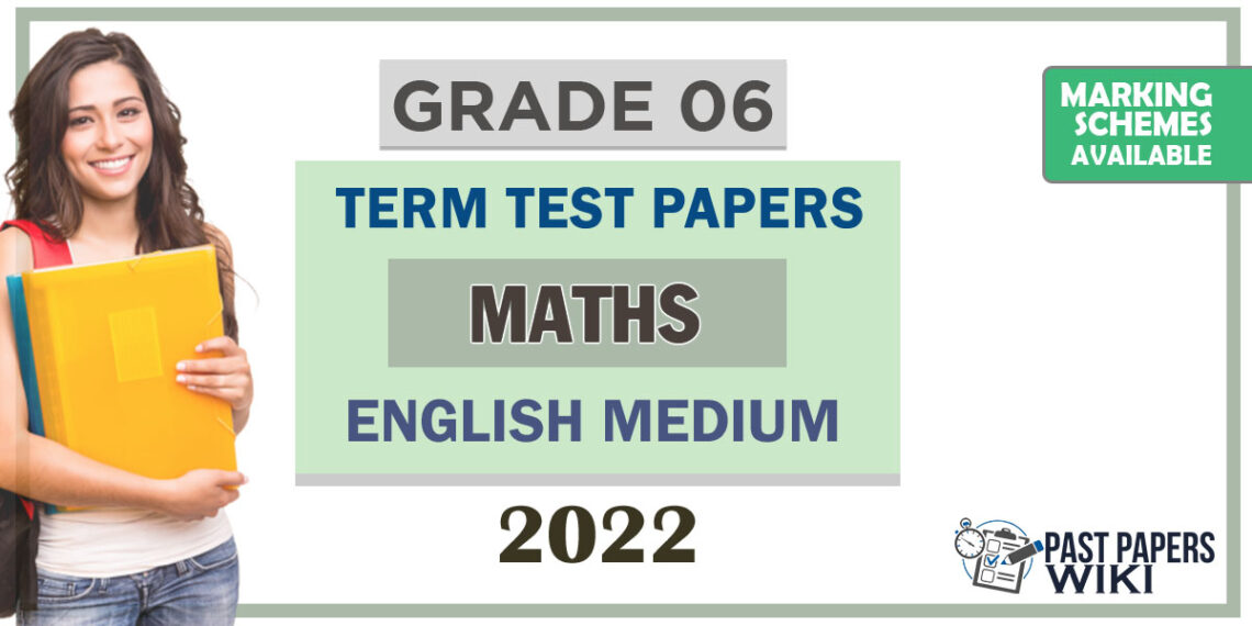 Grade 06 Maths Term Test Papers English Medium