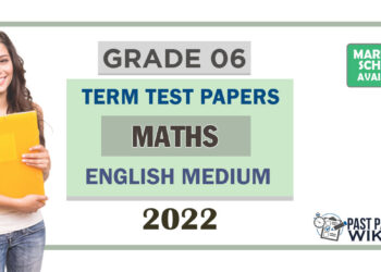 Grade 06 Maths Term Test Papers | English Medium