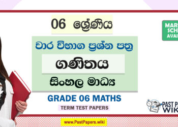 Grade 06 Maths Term Test Papers | Sinhala Medium