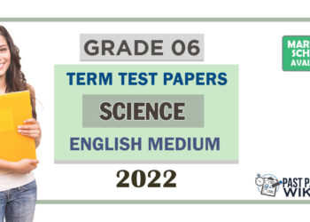 Grade 06 Science Term Test Papers | English Medium