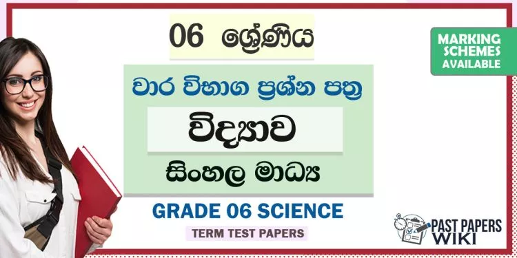 Grade 06 Science Term Test Papers | Sinhala Medium