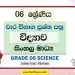 Grade 06 Science Term Test Papers | Sinhala Medium