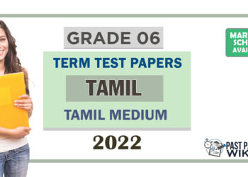 Grade 06 Tamil Language Term Test Papers | Tamil Medium