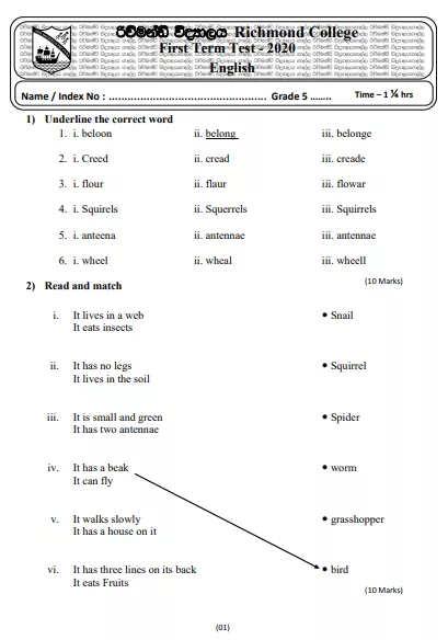 Grade 5 English Paper 2020