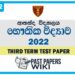 Ananda College Physics 3rd Term Test paper 2022 - Grade 12