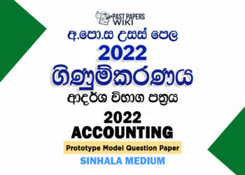2022 A/L Accounting Model Paper | Sinhala Medium