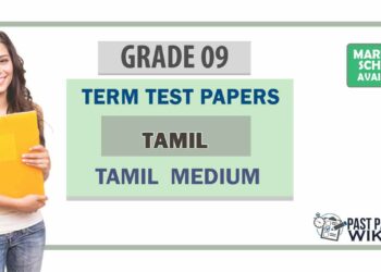 Grade 09 Tamil Language Term Test Papers | Tamil Medium