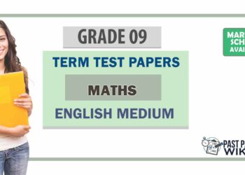 Grade 09 Maths Term Test Papers | English Medium
