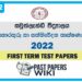 Southlands College ICT 1st Term Test paper 2022 - Grade 12