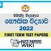 Mahinda College Physics 1st Term Test paper 2022 - Grade 12