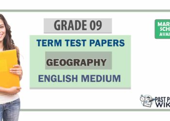 Grade 09 Geography Term Test Papers | English Medium