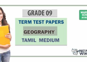 Grade 09 Geography Term Test Papers | Tamil Medium