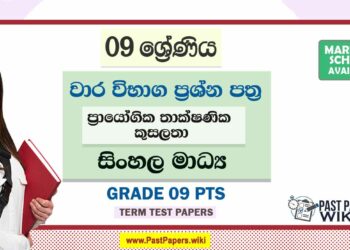 Grade 09 PTS Term Test Papers | Sinhala Medium
