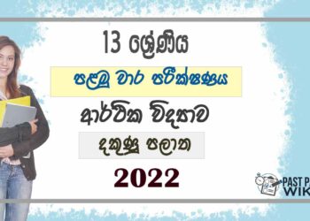 Southern Province Economics 1st Term Test paper 2022- Grade 13