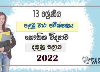 Southern Province Physics 1st Term Test paper 2022- Grade 13