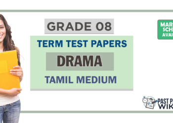 Grade 08 Drama Term Test Papers | Tamil Medium