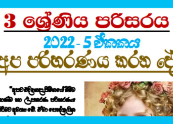 Apa Pariharanaya Karana De Grade 03 Environment | Unit 05