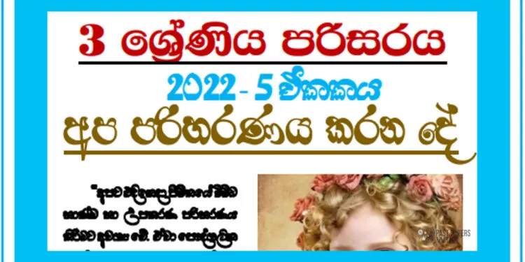 Apa Pariharanaya Karana De Grade 03 Environment | Unit 05