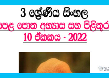 Jinji Baras Baras Baras Grade 03 Sinhala Unit 10 | Questions And Answers