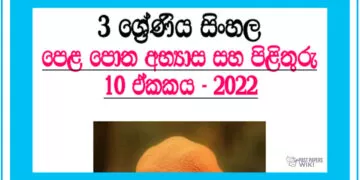 Jinji Baras Baras Baras Grade 03 Sinhala Unit 10 | Questions And Answers